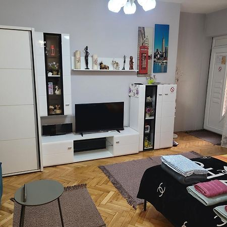 Apartman "Garden" 노비사드 외부 사진
