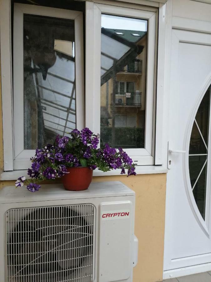 Apartman "Garden" 노비사드 외부 사진